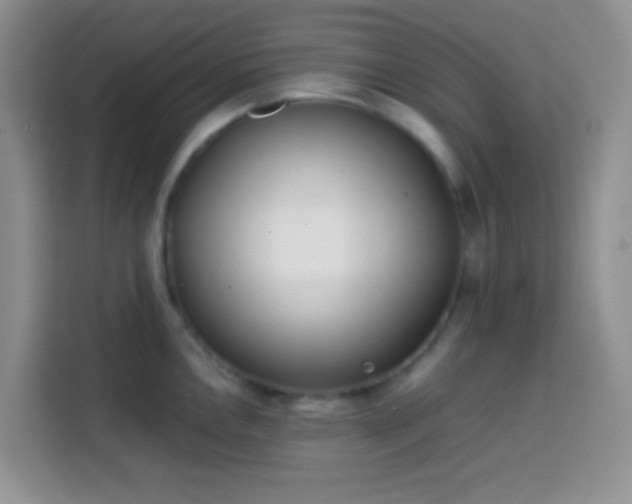 X0000113871146200910011107