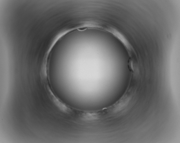 X0000113871148200910011107