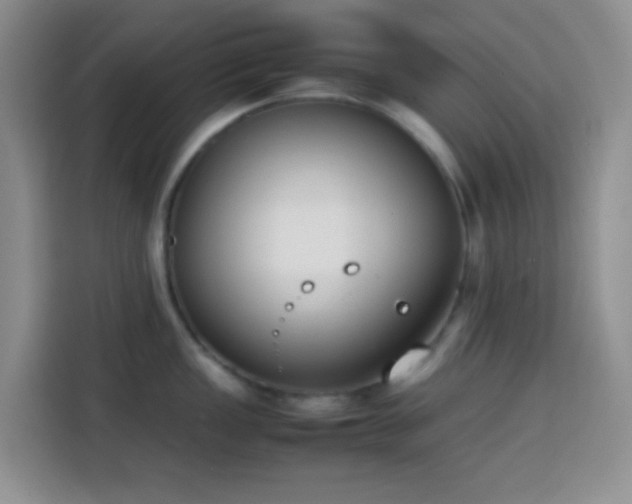 X0000113871149200910011107