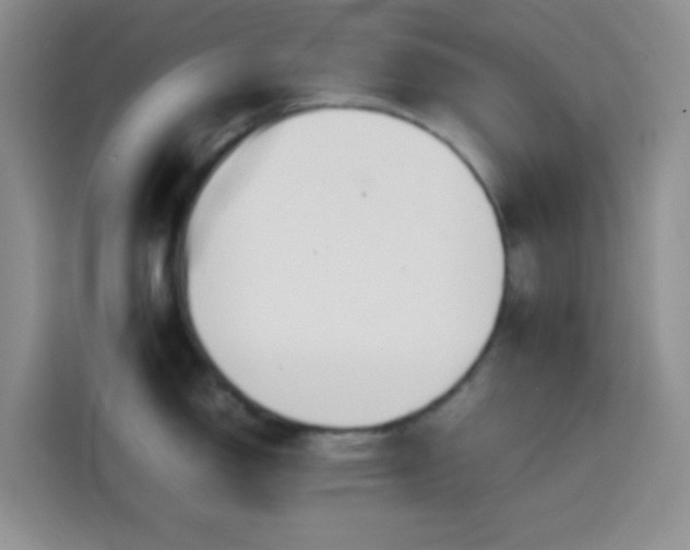 X0000113871150200910011107