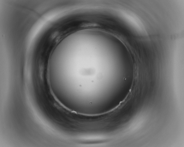 X0000113871151200910011107