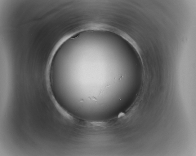 X0000113871152200910011107