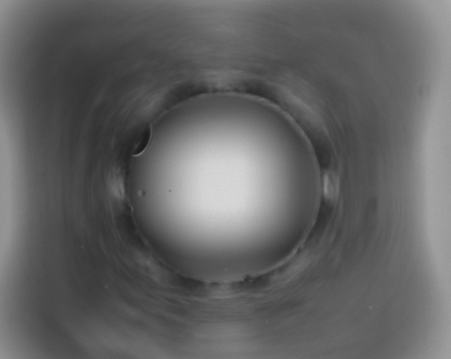 X0000113871155200910011106