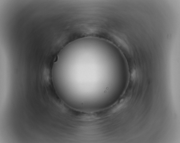 X0000113871156200910011106