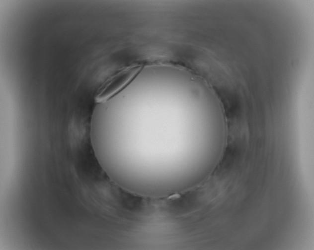 X0000113871157200910011106