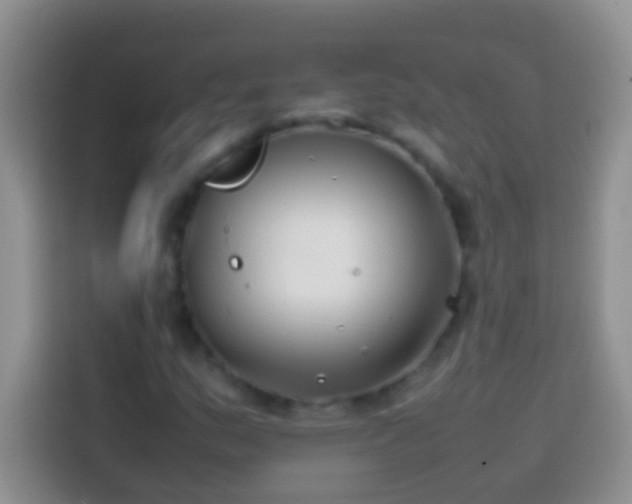 X0000113871159200910011106