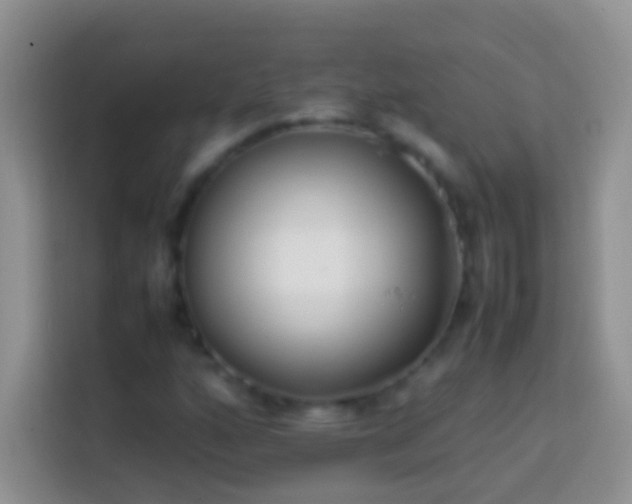 X0000113871160200910011106