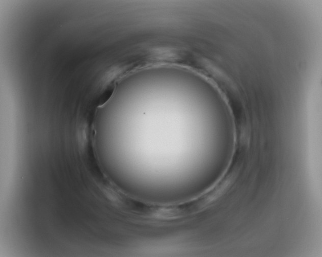 X0000113871161200910011106