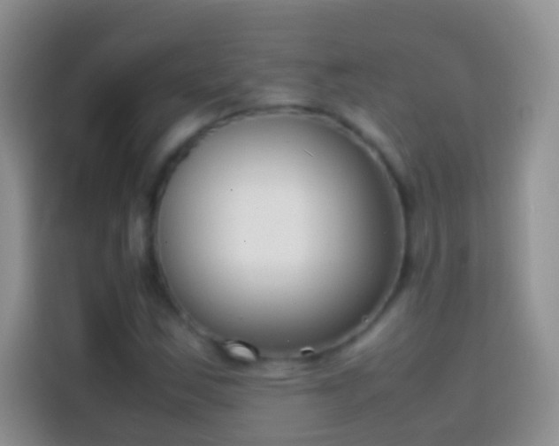 X0000113871163200910011106