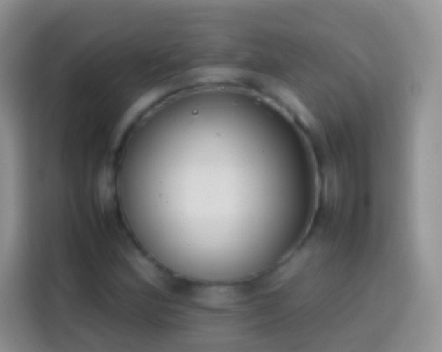 X0000113871164200910011106