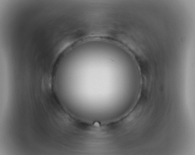 X0000113871165200910011106