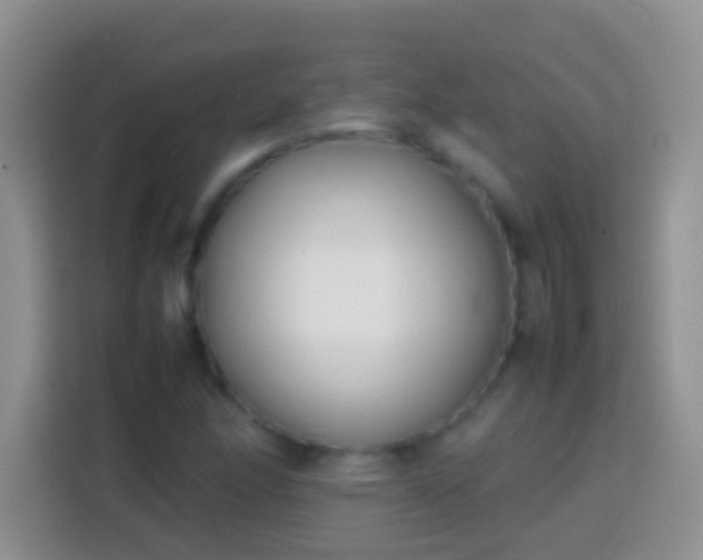 X0000113871166200910011106