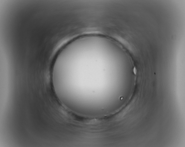 X0000113871167200910011106