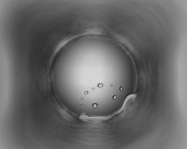 X0000113871168200910011106