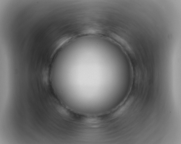 X0000113871170200910011106