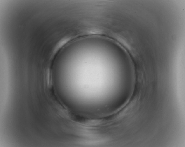 X0000113871171200910011106