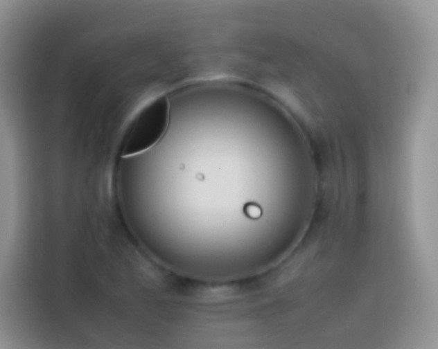 X0000113871173200910011106