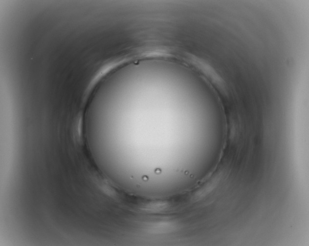 X0000113871174200910011106