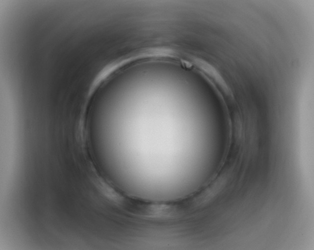 X0000113871176200910011106