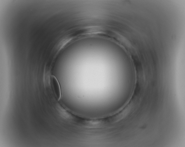 X0000113871177200910011106