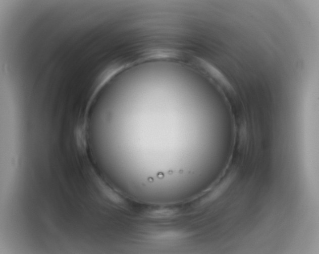 X0000113871178200910011106