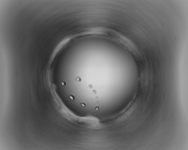 X0000113871180200910011106