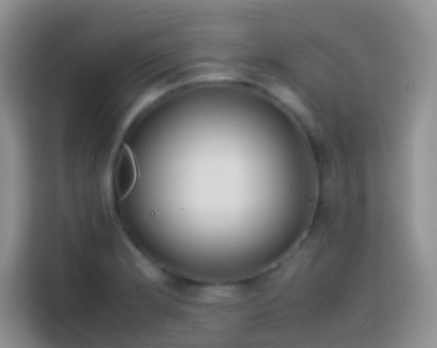 X0000113871181200910011106