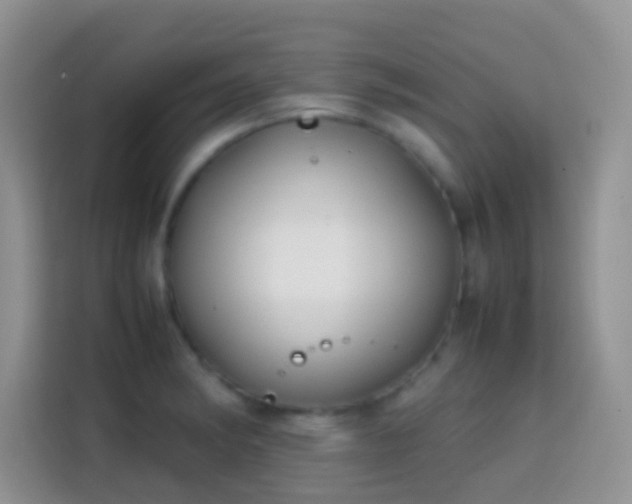 X0000113871182200910011106