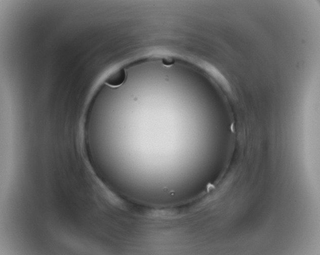 X0000113871183200910011106