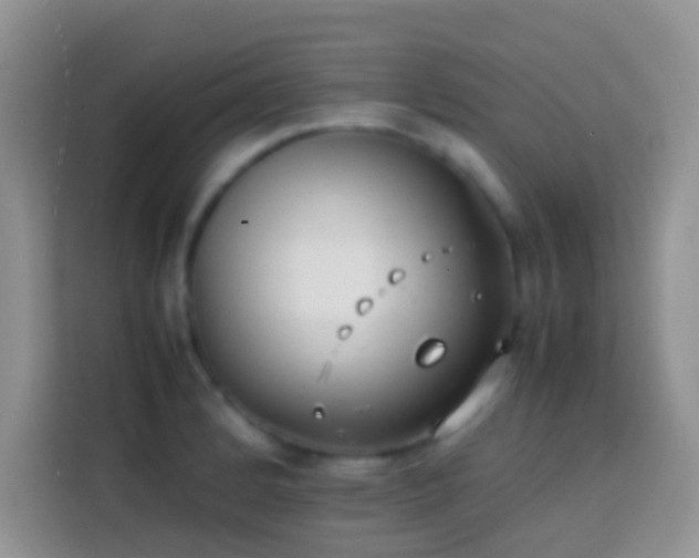 X0000113871184200910011106