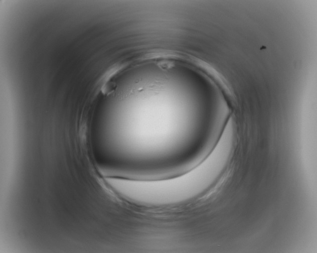 X0000113871185200910011106