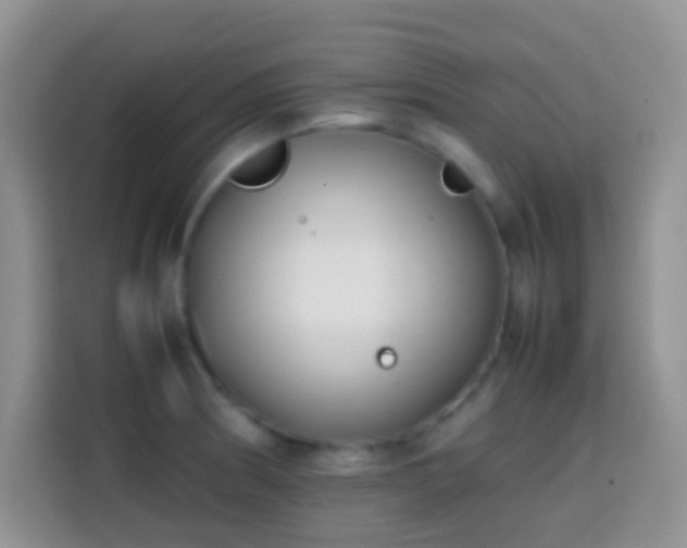 X0000113871186200910011106