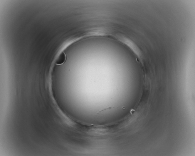 X0000113871187200910011106