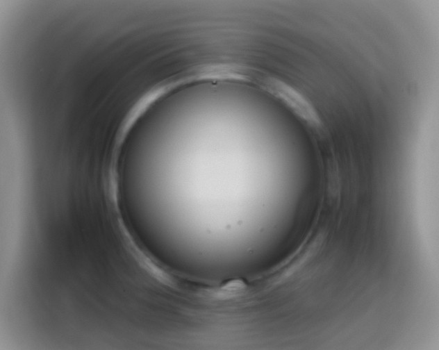 X0000113871188200910011106