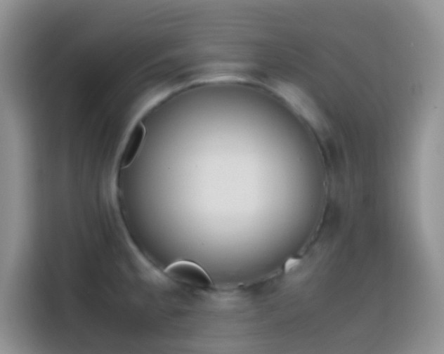 X0000113871189200910011106