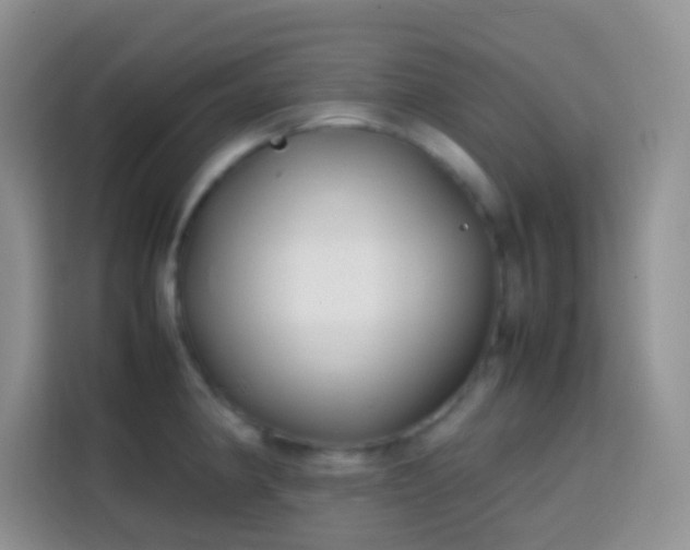 X0000113871190200910011106