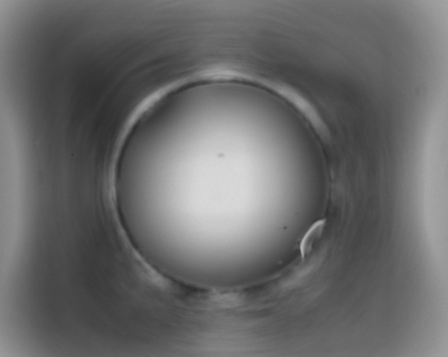 X0000113871191200910011106