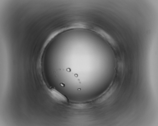 X0000113871192200910011106