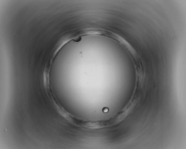 X0000113871194200910011106