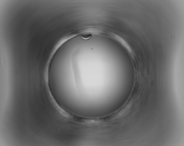 X0000113871195200910011106