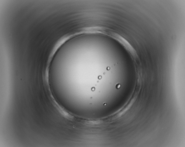 X0000113871196200910011106