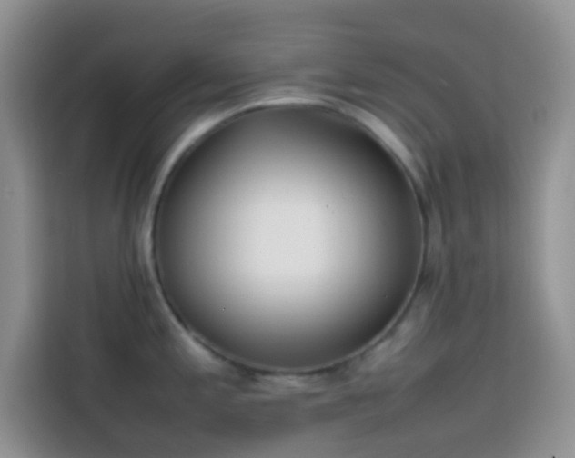 X0000113871197200910011106