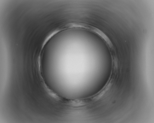 X0000113871198200910011106