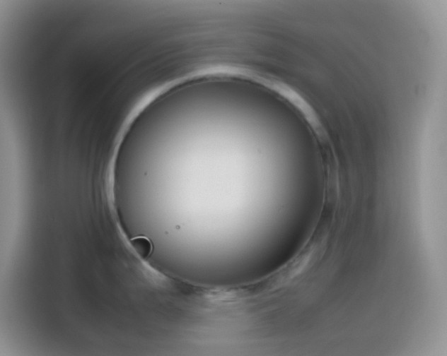 X0000113871199200910011106