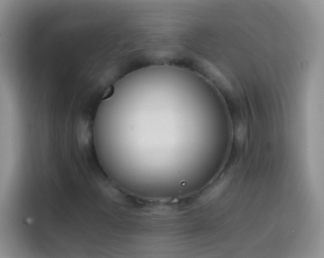 X0000113871204200910011105