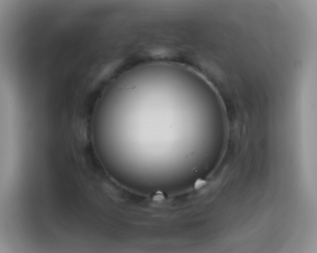 X0000113871205200910011105