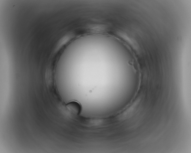 X0000113871211200910011105