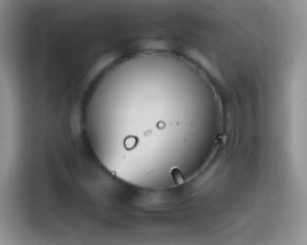 X0000113871213200910011105