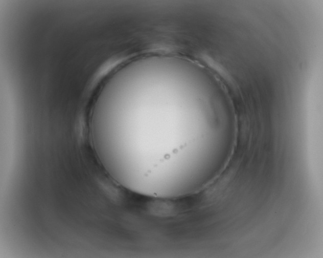 X0000113871215200910011105