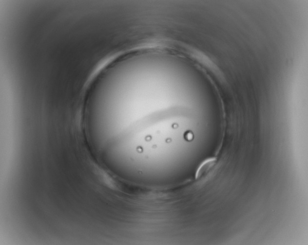 X0000113871216200910011105